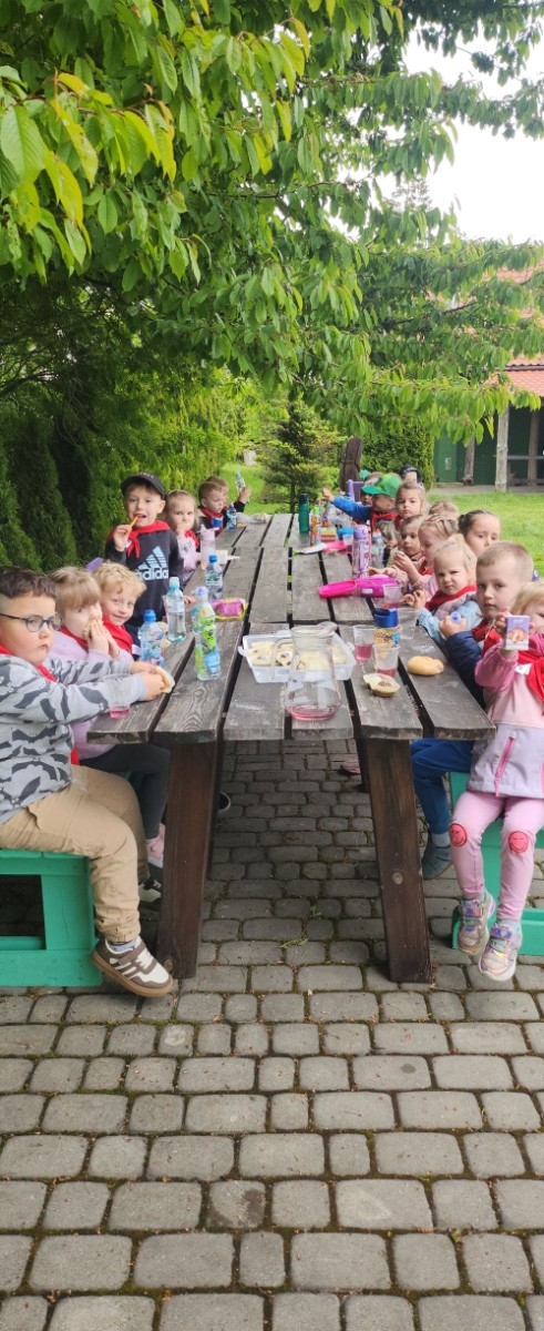 	Dnia 22 maja 20205 roku dzieci  z grupy „Zajączki” oraz „Leśne Skrzaty” z oddziałów przedszkolnych przy SP2 udały się na wycieczkę do Zagrody Edukacyjnej „Ziołowy Dzbanek” . Podczas wizyty dzieci uczestniczyły w warsztatach, gdzie miały okazję własnoręcznie wykonać piękny prezent, który wręczą podczas  zbliżającego się
” Dnia Mamy”. Kolejną atrakcją dla dzieci był spacer po „Ogrodzie Ziołowym”, gdzie  miały okazję zobaczyć, powąchać  oraz poznać zastosowanie niektórych ziół. Natomiast w „Chacie Zielarskiej”miały okazję zobaczyć różne sprzęty codziennego użytku z dawnych lat. Dodatkową atrakcją dla dzieci było spotkanie ze zwierzętami w mini zoo, gdzie mogły dosyć nieśmiało z małą dozą niepewności nakarmić znajdujące się tam zwierzęta. Na zakończenie pełnej emocji wizyty dzieci zjadły przygotowane przez gospodarzy pyszne czekoladowe babeczki i wypiły domowy kompot. Uśmiech na twarzach dzieci był najlepszym dowodem na to , iż wycieczkę możemy uznać za udaną :)
