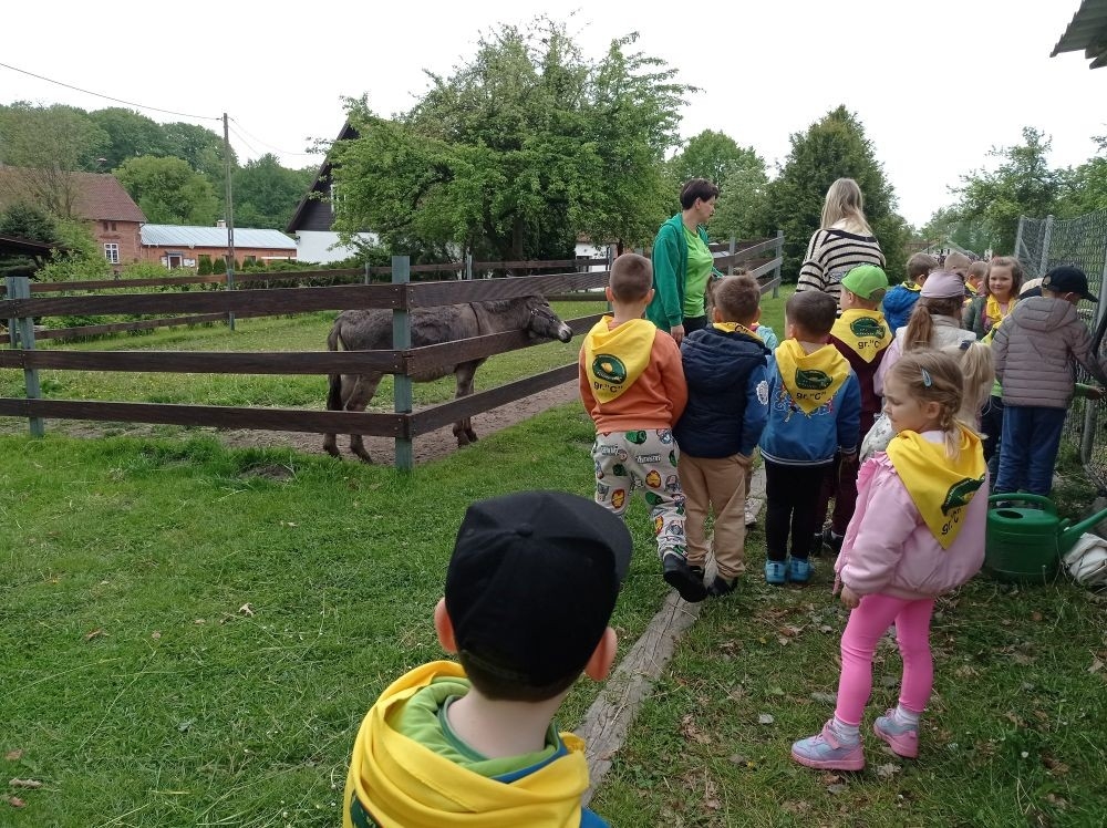 Dnia 22 maja 20205 roku dzieci z grupy „Zajączki” oraz „Leśne Skrzaty” z oddziałów przedszkolnych przy SP2 udały się na wycieczkę do Zagrody Edukacyjnej „Ziołowy Dzbanek” . Podczas wizyty dzieci uczestniczyły w warsztatach, gdzie miały okazję własnoręcznie wykonać piękny prezent, który wręczą podczas zbliżającego się
” Dnia Mamy”. Kolejną atrakcją dla dzieci był spacer po „Ogrodzie Ziołowym”, gdzie miały okazję zobaczyć, powąchać oraz poznać zastosowanie niektórych ziół. Natomiast w „Chacie Zielarskiej”miały okazję zobaczyć różne sprzęty codziennego użytku z dawnych lat. Dodatkową atrakcją dla dzieci było spotkanie ze zwierzętami w mini zoo, gdzie mogły dosyć nieśmiało z małą dozą niepewności nakarmić znajdujące się tam zwierzęta. Na zakończenie pełnej emocji wizyty dzieci zjadły przygotowane przez gospodarzy pyszne czekoladowe babeczki i wypiły domowy kompot. Uśmiech na twarzach dzieci był najlepszym dowodem na to , iż wycieczkę możemy uznać za udaną :)