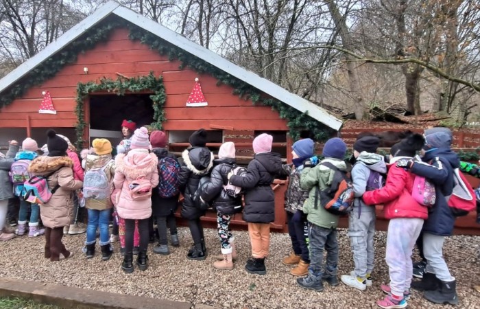 Wielkimi krokami zbliżają się święta Bożego Narodzenia. 30 listopada 2022r. uczniowie klas pierwszych udali się na wycieczkę do Przystanku Świętego Mikołaja 
w Drzewinie, gdzie od progu czekał na nich  Elf z mnóstwem atrakcji.
Nasz zaprzyjaźniony Elf, po wykonaniu przez dzieci wszystkich zadań, wręczył każdemu uczestnikowi Certyfikat  Pomocnika Elfa i specjalny znaczek  potwierdzający wizytę w Przystanku Świętego Mikołaja.
Uczniowie pełni wrażeń udali się w drogę powrotną
