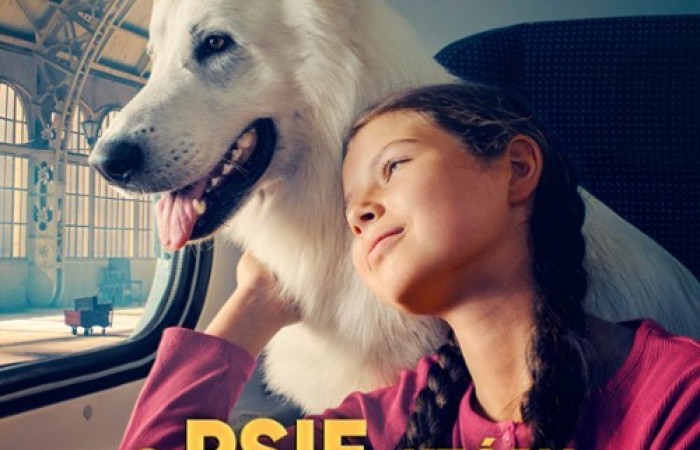 27 września uczniowie klas 1-3 wybrali się na pieszą wycieczkę do kina. Tam z kolei czekała nas podróż, tym razem pociągiem, a to za sprawą sympatycznego psa o imieniu Lampo. Brzmi znajomo? Pewnie tak, ponieważ film, który oglądaliśmy nosi tytuł: „O psie, który jeździł koleją”. Jest to wspaniała, ciepła historia, pełna wzlotów i upadków, przekładających się na prawdziwą lekcję na temat dobra, przyjaźni i empatii. Żeby przekonać się o tym na własnej skórze, nie pozostaje Wam nic innego jak ruszyć do kina. 