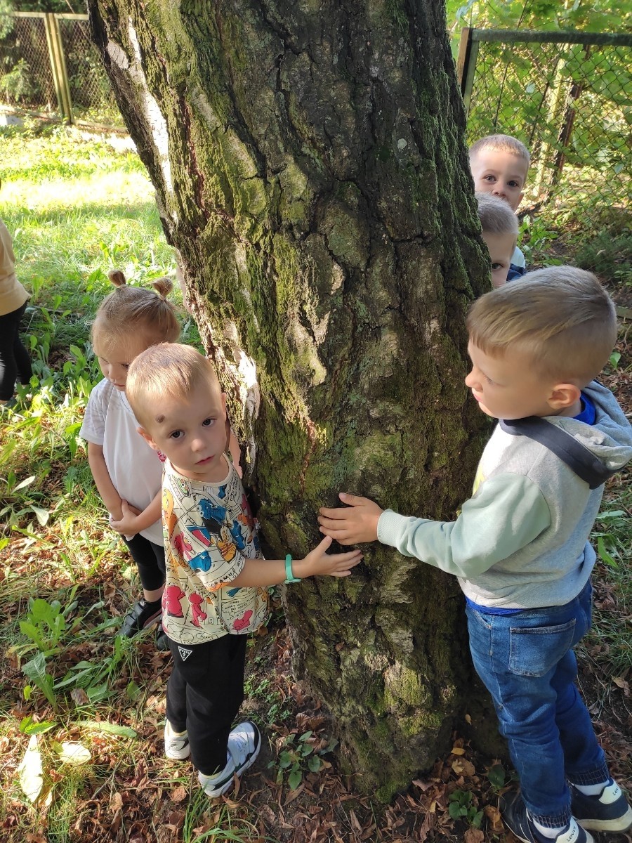 Lato to czas kiedy w lasach pojawiają się pierwsze alerty przeciwpożarowe. Wraz ze wzrostem temperatur ściółka leśna wysycha i coraz łatwiej o pożar lasu.  Tylko w roku 2021 w Polsce wybuchło 3295 pożarów lasów, z czego 2337 tych pożarów powstało z winy człowieka!
	Nasze przedszkolaki we wrześniu przyłączyły się do ogólnopolskiej kampanii PRZYTUL SIĘ DO DRZEWA polegającej na otoczeniu drzew miłością przez przytulenie się do drzewa  i pokazanie, że są one  dla nas ważne.
Kampania PRZYTUL SIĘ DO DRZEWA miała  na  celu zwrócenie uwagi na bezpieczne i mądre poruszanie się po lasach, uczulenie  na rzeczy, które mogą nieświadomie doprowadzić do pożaru.
