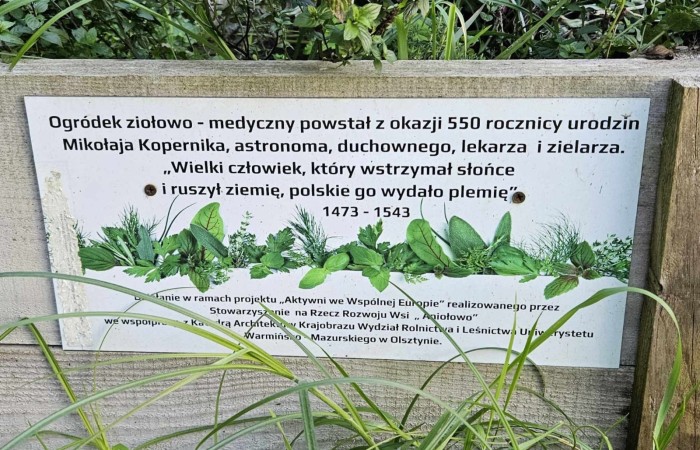 Obchody 550 rocznicy urodzin Kopernika obchodziliśmy w Aniołowie. W spotkaniu wzięli udział uczniowie z klasy 7a, nauczyciele i dyrektor szkoły, goście z Włoch i Francji wraz z opiekunami z Pasłęckiego Liceum oraz mieszkańcy Aniołowa. Wypiekaliśmy pierniki według średniowiecznego przepisu z miodem i licznymi ziołowymi dodatkami. Uczniowie z kl.7a wykonali karty pracy „Kopernik w centrum słońca”. Uroczystość zakończył pokaz grupy ognia „Angels in the fire”.Było to niesamowite podsumowanie Akcji społeczno-edukacyjnej 