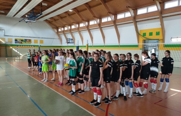 Reprezentacja naszej Podstawówki w tegorocznych rozgrywkach była gościem Zespołu Szkół w Gronowie Elbląskim.  Do rywalizacji 14.03.2024r. (czwartek ) stawiło się siedem drużyn naszego powiatu. Szkoły z: Godkowa, Pilony, Rogajn, Młynar, SP 1 Pasłęk, SP 2 Pasłęk oraz organizator Gronowo Elbląskie. Wszystkie drużyny prezentowały się bardzo dobrze udowadniając w każdym meczu, że żadna z ekip nie trafiła tu przypadkowo. Mimo młodego wieku, zawodniczki zaskakiwały silną zagrywką, poprawnym odbiorem,  czy rozegraniem piłki. Gra toczyła się do dwóch wygranych setów. W wielu przypadkach wyrównanej gry to jednak nie wystarczało i o rozstrzygnięciu musiał decydować dodatkowy tie-break. Tak było w każdym rozegranym przez nasz zespół meczu. Po niełatwej, emocjonującej rywalizacji w ostatnim naszym meczu ulegliśmy drużynie z Młynar ostatecznie zajmując czwarte miejsce.