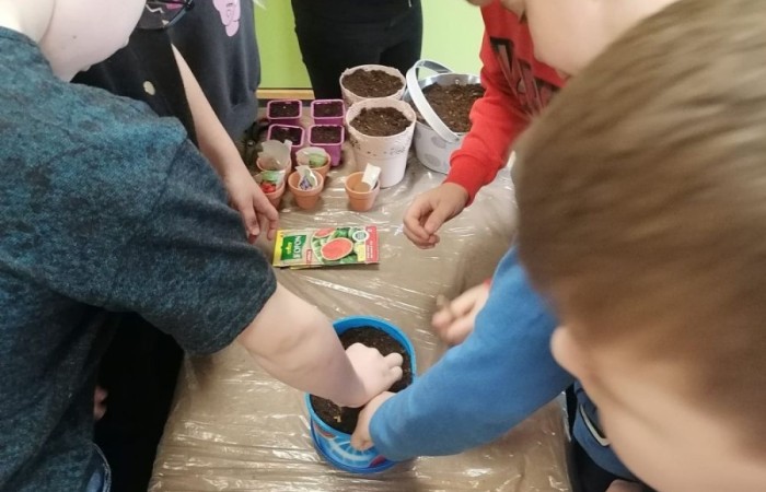 Za oknem już widać piękne słońce zwiastujące wiosnę, którą nasi uczniowie postanowili zaprosić do środka zakładając klasowe ogródki. Wysiana przez nas rzeżucha, miała uświetnić również Święta Wielkanocne. Przygotowując się do nich ciężko pracowaliśmy, tworząc piękne palmy, dekoracje, malując jajka, a nawet wykorzystując je do zabaw badawczych. Jak się spisaliśmy? Możecie zobaczyć na zdjęciach. 