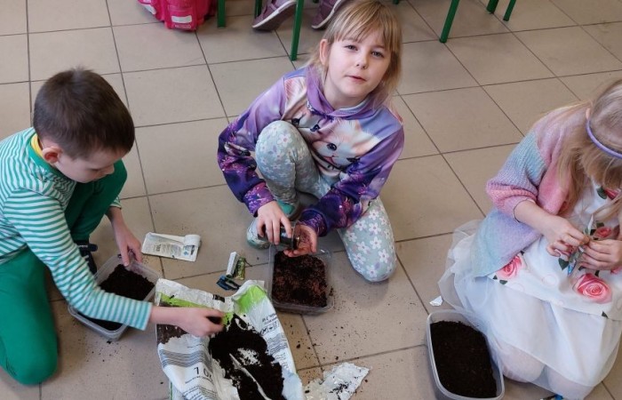 Za oknem już widać piękne słońce zwiastujące wiosnę, którą nasi uczniowie postanowili zaprosić do środka zakładając klasowe ogródki. Wysiana przez nas rzeżucha, miała uświetnić również Święta Wielkanocne. Przygotowując się do nich ciężko pracowaliśmy, tworząc piękne palmy, dekoracje, malując jajka, a nawet wykorzystując je do zabaw badawczych. Jak się spisaliśmy? Możecie zobaczyć na zdjęciach. 