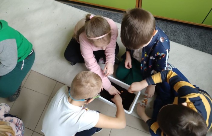 Za oknem już widać piękne słońce zwiastujące wiosnę, którą nasi uczniowie postanowili zaprosić do środka zakładając klasowe ogródki. Wysiana przez nas rzeżucha, miała uświetnić również Święta Wielkanocne. Przygotowując się do nich ciężko pracowaliśmy, tworząc piękne palmy, dekoracje, malując jajka, a nawet wykorzystując je do zabaw badawczych. Jak się spisaliśmy? Możecie zobaczyć na zdjęciach. 