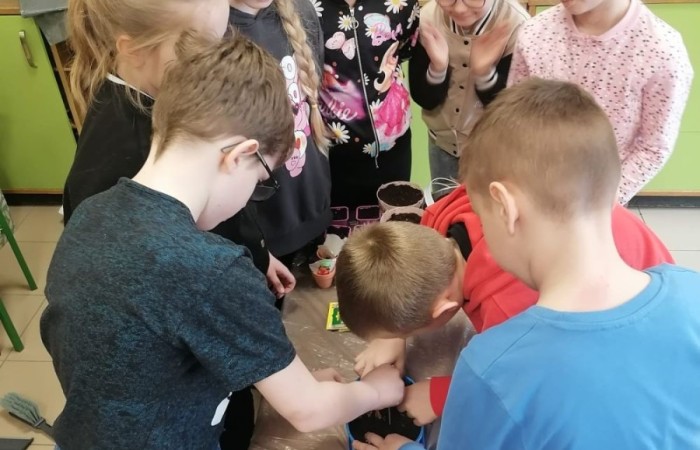 Za oknem już widać piękne słońce zwiastujące wiosnę, którą nasi uczniowie postanowili zaprosić do środka zakładając klasowe ogródki. Wysiana przez nas rzeżucha, miała uświetnić również Święta Wielkanocne. Przygotowując się do nich ciężko pracowaliśmy, tworząc piękne palmy, dekoracje, malując jajka, a nawet wykorzystując je do zabaw badawczych. Jak się spisaliśmy? Możecie zobaczyć na zdjęciach. 