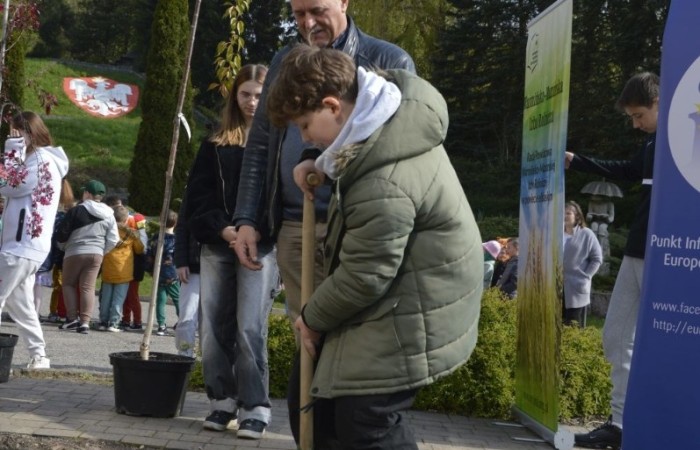 22 kwietnia na całym świecie obchodzony jest Międzynarodowy Dzień Ziemi. W naszej szkole to ekologiczne święto celebrowaliśmy nieco później, bo 25 kwietnia. Było to wydarzenie, łączące sztukę, edukację ekologiczną i działanie na rzecz ochrony środowiska. Uczniowie klas pierwszych przygotowali krótką część artystyczną, na którą zaprosili przedszkolaków, uczniów klas II i III, a także gości specjalnych: Pana Zdzisława Młynarczyka (członka Rady Powiatowej Warmińsko-Mazurskiej Izby Rolniczej) oraz Panią Igę Jurczak (przedstawiciela Rady Powiatowej Warmińsko-Mazurskiej Izby Rolniczej), którzy przywieźli ze sobą wyjątkowe prezenty- drzewka ozdobne i krzewy borówek. Po skończonej uroczystości nasi goście wraz z Panią Dyrektor i przedstawicielami klas starszych zajęli się sadzonkami, które wkrótce będą prawdziwą ozdobą terenu naszej szkoły.