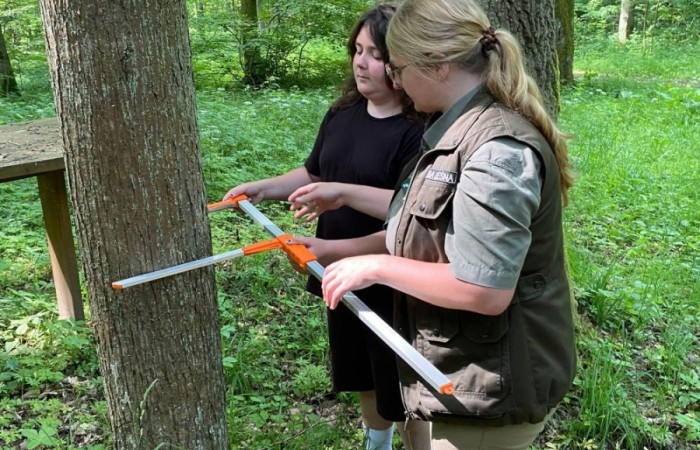 Kolejne działanie w ramach projektu Erasmus Discovering Carrers in Europe . Dziś uczniowie klas siódmych mieli okazję poznać zawód leśnika. Była wyprawa do lasu, ścieżka edukacyjna i fantastyczne opowieści pani leśnik o tym jaki jest las, na czym polega zawód leśnika i co trzeba zrobić alby móc  wykonywać tak piękną pracę. Pobyt zakończony ogniskiem i oczywiście pieczonymi w nim kiełbaskami. Dziękujemy Nadleśnictwu Młynary za gościnność i piękną lekcję przyrody. Nawet wszechobecne komary nie były w stanie zepsuć mam przyjemności dzisiejszego dnia.