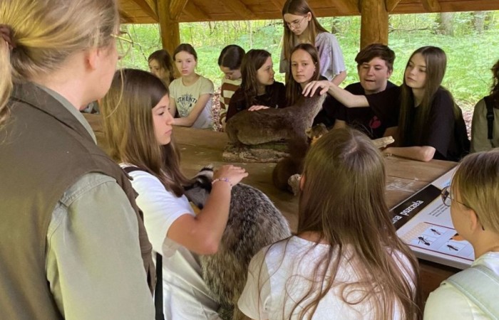 Kolejne działanie w ramach projektu Erasmus Discovering Carrers in Europe . Dziś uczniowie klas siódmych mieli okazję poznać zawód leśnika. Była wyprawa do lasu, ścieżka edukacyjna i fantastyczne opowieści pani leśnik o tym jaki jest las, na czym polega zawód leśnika i co trzeba zrobić alby móc  wykonywać tak piękną pracę. Pobyt zakończony ogniskiem i oczywiście pieczonymi w nim kiełbaskami. Dziękujemy Nadleśnictwu Młynary za gościnność i piękną lekcję przyrody. Nawet wszechobecne komary nie były w stanie zepsuć mam przyjemności dzisiejszego dnia.