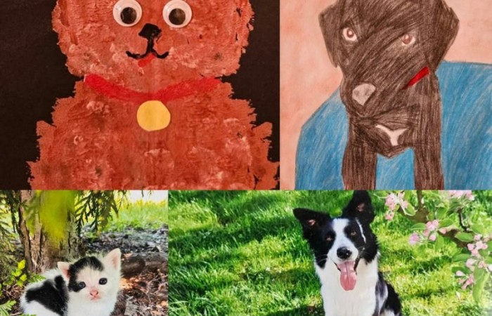 Z radością ogłaszamy zakończenie naszego konkursu plastycznego, w którym uczniowie mieli okazję zaprezentować swoje twórcze podejście do tematu zwierząt! 
Prace uczestników były niezwykle pomysłowe i różnorodne. Uczniowie pokazali zarówno zwierzęta w ich naturalnym środowisku, jak i te żyjące w naszych domach czy na farmach. Konkurs stał się świetną okazją, by przypomnieć, jak ważne jest traktowanie ich z szacunkiem, empatią i zrozumieniem. Nagrody dla wyróżnionych ufundowała Rada Rodziców.
