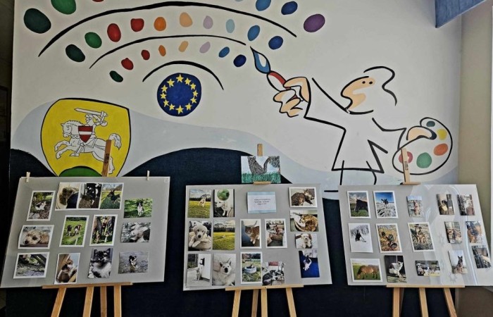 Z radością ogłaszamy zakończenie naszego konkursu plastycznego, w którym uczniowie mieli okazję zaprezentować swoje twórcze podejście do tematu zwierząt! 
Prace uczestników były niezwykle pomysłowe i różnorodne. Uczniowie pokazali zarówno zwierzęta w ich naturalnym środowisku, jak i te żyjące w naszych domach czy na farmach. Konkurs stał się świetną okazją, by przypomnieć, jak ważne jest traktowanie ich z szacunkiem, empatią i zrozumieniem. Nagrody dla wyróżnionych ufundowała Rada Rodziców.
