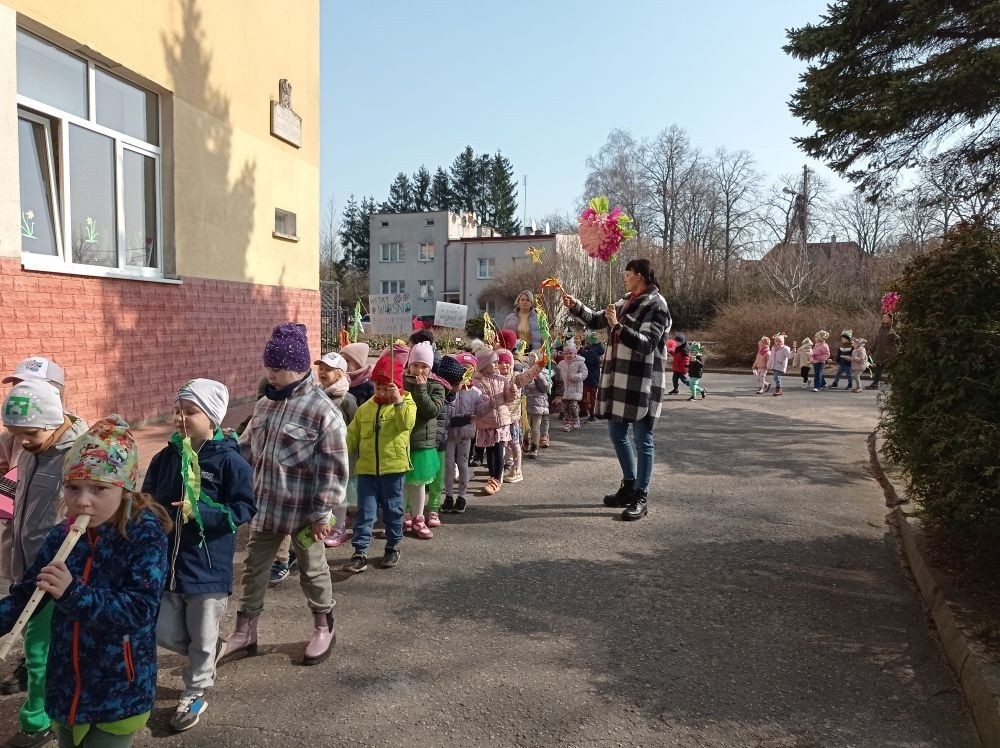 W piątek 21 marca wszystkie dzieci z naszego przedszkola świętowały nadejście wiosny. Dla każdego przedszkolaka jest to bardzo wyczekiwane wydarzenie. Dzień rozpoczęliśmy od rozmów o nowej porze roku oraz od wesołych zabaw przy muzyce. Uśmiechnięci wyruszyliśmy na spacer w okolicy naszego przedszkola, gdzie pożegnaliśmy zimę wraz z Marzanną. Dodatkowo dzieci próbowały odstraszyć zimę, śpiewając głośno piosenki i skandując hasła o wiośnie. I tak kolorowy, ale już wiosenny, uśmiechnięty pochód mógł wrócić do przedszkola. Cieszymy się, że w taki sposób mogliśmy w pełni przywitać wiosnę, która obdarowała nas pięknym słoneczkiem. Mamy nadzieję, że dzięki zaangażowaniu naszych przedszkolaków wiosna zawita do nas na dobre, a wraz z nią ciepłe dni, z których będziemy korzystać podczas zabaw na świeżym powietrzu.