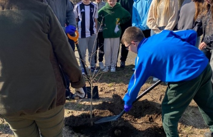 Dzisiaj, w ramach współpracy z Nadleśnictwem Młynary, uczniowie naszej szkoły wzięli udział w akcji sadzenia drzew w pobliskim parku. Wydarzenie miało na celu nie tylko zazielenienie terenu, ale także edukację ekologiczną i budowanie świadomości na temat ochrony środowiska. Pod czujnym okiem leśników dzieci sadziły młode sadzonki buka i lipy. Dodatkowo przed szkołą posadzone zostały sadzonki świerku. Na początku wydarzenia przemowę wygłosiła przewodnicząca samorządu uczniowskiego Lidia Szuniewicz, podkreślając znaczenie troski o naturę.