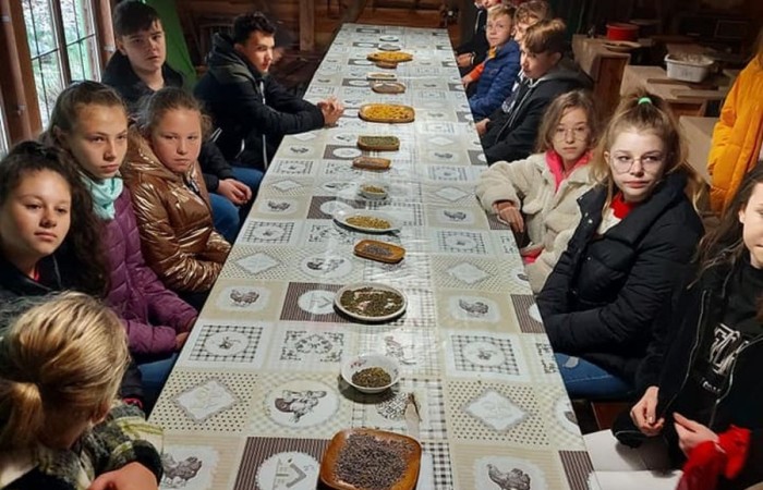 Dzisiejsze przedpołudnie spędziliśmy w magicznym klimacie Zagrody Edukacyjnej Ziołowy Dzbanek w Sąpach. Motaliśmy lalki i tworzyliśmy mydło. Wszędzie były lniane akcenty. Nawet w pysznym posiłku po zakończonych warsztatach. Po południu bawiliśmy się w pasłęckim Parku Ekologicznym na pikniku rodzinnym. Rodzice uczniów 7a przygotowali pyszne jedzenie, fantastyczne zabawy. Nasi goście mogli spróbować polskiego bigosu, pierogów i chleba ze smalcem oraz skosztować smacznych ciast. Na spotkaniu gościliśmy Zastępcę Burmistrza Pana Marka Sarnowskiego i naszą Panią Dyrektor Agnieszkę Cieklińską. Podczas wspólnych zabaw coraz mniej przeszkadzała nam bariera językowa. To był kolejny fantastyczny dzień. Dziękujemy Rodzicom 7a za przygotowanie ekstra imprezy!!!