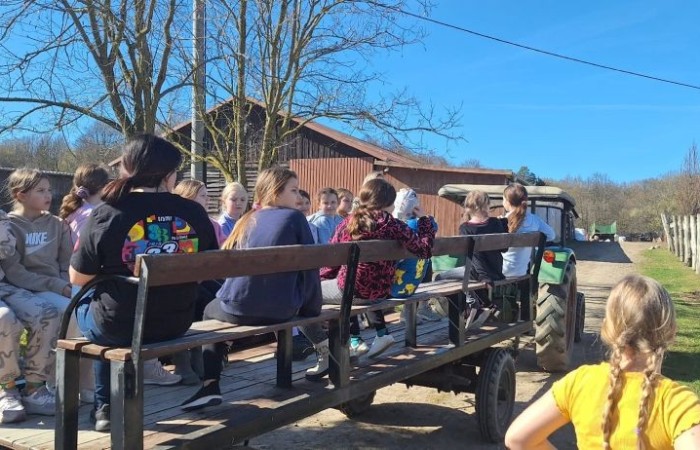 Uczniowie klas 1-3, w ramach projektu S.Z.U.M., uczestniczyli w dwudniowej wycieczce do Ekofarmy Vitalis. Była to doskonała okazja do spędzenia czasu na łonie natury i pogłębienia wiedzy ekologicznej. Pierwszy dzień rozpocznął się od przyjazdu i zakwaterowania, po czym uczestnicy mieli okazję wziąć udział w karmieniu zwierząt, co pozwoło im na bliższe poznanie różnych gatunków i ich zwyczajów. Po południu odbyły się warsztaty proekologiczne, podczas których uczestnicy dowiedzieli się, jak można dbać o środowisko w codziennym życiu. Wieczorem uczestnicy projektu mogli spędzić wspólnie czas przy ognisku, które stworzyło przestrzeń do integracji i wspólnej zabawy. Drugi dzień był wypełniony zabawami na świeżym powietrzu, z możliwością obcowania z przyrodą oraz poznawania jej tajemnic. To wyjątkowe doświadczenie z pewnością wzbogaciło wiedzę uczestników i będzie inspiracją do działań na rzecz ochrony środowiska.