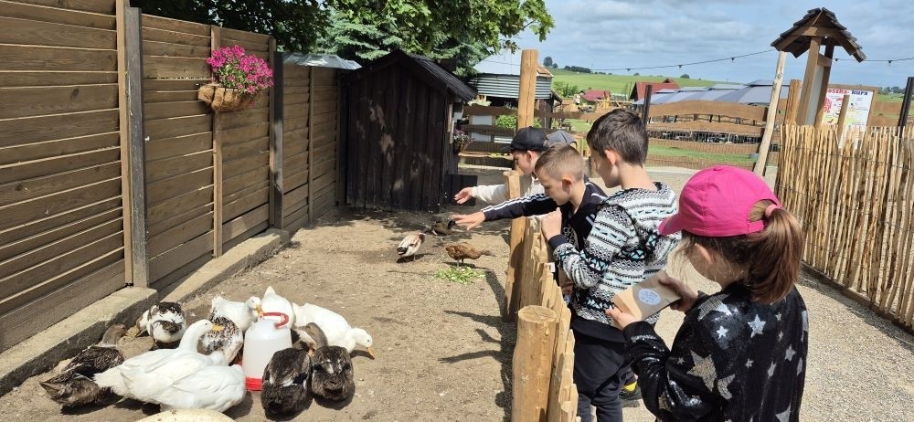17 czerwca uczniowie klas drugich mieli okazję spędzić niezapomniany dzień w malowniczej Zagrodzie Kociewskiej. Program wycieczki obfitował w atrakcje, a jedną z najciekawszych były kreatywne warsztaty emalierskie. Dzieci dowiedziały się, czym jest emalia i jak powstają naczynia emaliowane. W części praktycznej każdy uczestnik mógł samodzielnie ozdobić ceramiczny magnes przy użyciu specjalnych markerów. Powstały w ten sposób wyjątkowe, kolorowe prace – prawdziwe małe dzieła sztuki, które będą piękną pamiątką na lata. Po warsztatach przyszedł czas na relaks i zabawę. Uczniowie korzystali z uroków otoczenia – bawili się na świeżym powietrzu, zwiedzali zagrodę i dokarmiali zwierzęta. Szerokie uśmiechy na twarzach dzieci, gdy wracały do szkoły, były najlepszym dowodem na to, że wyjazd był udany.
