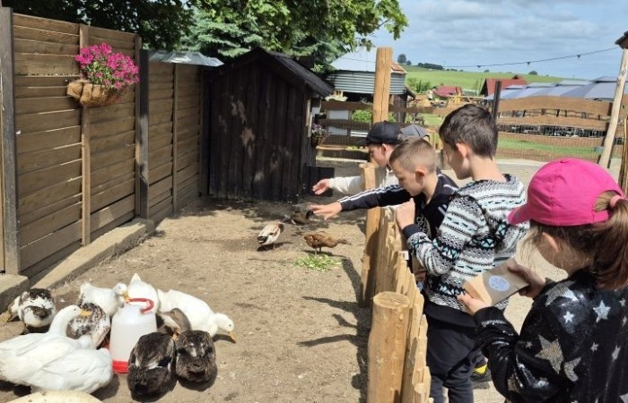 17 czerwca uczniowie klas drugich mieli okazję spędzić niezapomniany dzień w malowniczej Zagrodzie Kociewskiej. Program wycieczki obfitował w atrakcje, a jedną z najciekawszych były kreatywne warsztaty emalierskie. Dzieci dowiedziały się, czym jest emalia i jak powstają naczynia emaliowane. W części praktycznej każdy uczestnik mógł samodzielnie ozdobić ceramiczny magnes przy użyciu specjalnych markerów. Powstały w ten sposób wyjątkowe, kolorowe prace – prawdziwe małe dzieła sztuki, które będą piękną pamiątką na lata. Po warsztatach przyszedł czas na relaks i zabawę. Uczniowie korzystali z uroków otoczenia – bawili się na świeżym powietrzu, zwiedzali zagrodę i dokarmiali zwierzęta. Szerokie uśmiechy na twarzach dzieci, gdy wracały do szkoły, były najlepszym dowodem na to, że wyjazd był udany.