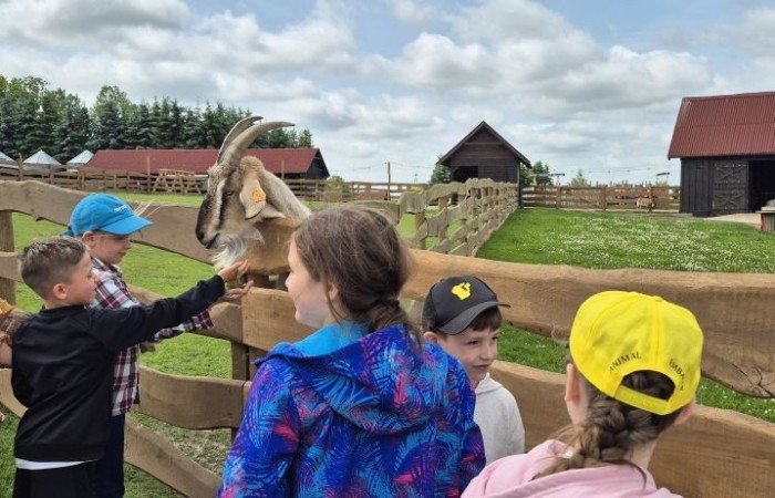 17 czerwca uczniowie klas drugich mieli okazję spędzić niezapomniany dzień w malowniczej Zagrodzie Kociewskiej. Program wycieczki obfitował w atrakcje, a jedną z najciekawszych były kreatywne warsztaty emalierskie. Dzieci dowiedziały się, czym jest emalia i jak powstają naczynia emaliowane. W części praktycznej każdy uczestnik mógł samodzielnie ozdobić ceramiczny magnes przy użyciu specjalnych markerów. Powstały w ten sposób wyjątkowe, kolorowe prace – prawdziwe małe dzieła sztuki, które będą piękną pamiątką na lata. Po warsztatach przyszedł czas na relaks i zabawę. Uczniowie korzystali z uroków otoczenia – bawili się na świeżym powietrzu, zwiedzali zagrodę i dokarmiali zwierzęta. Szerokie uśmiechy na twarzach dzieci, gdy wracały do szkoły, były najlepszym dowodem na to, że wyjazd był udany.