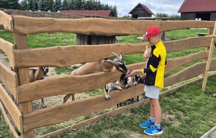 17 czerwca uczniowie klas drugich mieli okazję spędzić niezapomniany dzień w malowniczej Zagrodzie Kociewskiej. Program wycieczki obfitował w atrakcje, a jedną z najciekawszych były kreatywne warsztaty emalierskie. Dzieci dowiedziały się, czym jest emalia i jak powstają naczynia emaliowane. W części praktycznej każdy uczestnik mógł samodzielnie ozdobić ceramiczny magnes przy użyciu specjalnych markerów. Powstały w ten sposób wyjątkowe, kolorowe prace – prawdziwe małe dzieła sztuki, które będą piękną pamiątką na lata. Po warsztatach przyszedł czas na relaks i zabawę. Uczniowie korzystali z uroków otoczenia – bawili się na świeżym powietrzu, zwiedzali zagrodę i dokarmiali zwierzęta. Szerokie uśmiechy na twarzach dzieci, gdy wracały do szkoły, były najlepszym dowodem na to, że wyjazd był udany.