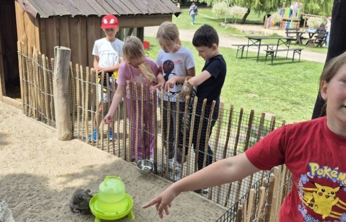 17 czerwca uczniowie klas drugich mieli okazję spędzić niezapomniany dzień w malowniczej Zagrodzie Kociewskiej. Program wycieczki obfitował w atrakcje, a jedną z najciekawszych były kreatywne warsztaty emalierskie. Dzieci dowiedziały się, czym jest emalia i jak powstają naczynia emaliowane. W części praktycznej każdy uczestnik mógł samodzielnie ozdobić ceramiczny magnes przy użyciu specjalnych markerów. Powstały w ten sposób wyjątkowe, kolorowe prace – prawdziwe małe dzieła sztuki, które będą piękną pamiątką na lata. Po warsztatach przyszedł czas na relaks i zabawę. Uczniowie korzystali z uroków otoczenia – bawili się na świeżym powietrzu, zwiedzali zagrodę i dokarmiali zwierzęta. Szerokie uśmiechy na twarzach dzieci, gdy wracały do szkoły, były najlepszym dowodem na to, że wyjazd był udany.