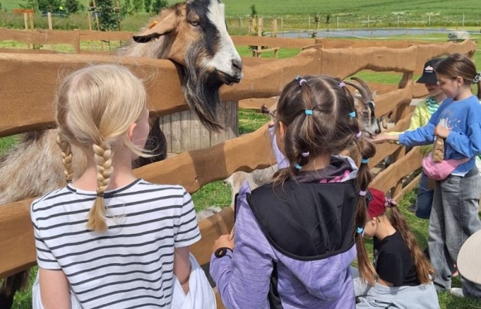 17 czerwca uczniowie klas drugich mieli okazję spędzić niezapomniany dzień w malowniczej Zagrodzie Kociewskiej. Program wycieczki obfitował w atrakcje, a jedną z najciekawszych były kreatywne warsztaty emalierskie. Dzieci dowiedziały się, czym jest emalia i jak powstają naczynia emaliowane. W części praktycznej każdy uczestnik mógł samodzielnie ozdobić ceramiczny magnes przy użyciu specjalnych markerów. Powstały w ten sposób wyjątkowe, kolorowe prace – prawdziwe małe dzieła sztuki, które będą piękną pamiątką na lata. Po warsztatach przyszedł czas na relaks i zabawę. Uczniowie korzystali z uroków otoczenia – bawili się na świeżym powietrzu, zwiedzali zagrodę i dokarmiali zwierzęta. Szerokie uśmiechy na twarzach dzieci, gdy wracały do szkoły, były najlepszym dowodem na to, że wyjazd był udany.