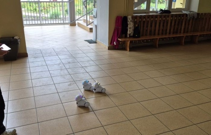 Zbliża się koniec roku szkolnego, a my z dumą spoglądamy wstecz na to, co udało nam się osiągnąć w ramach projektu S.Z.U.M.  Przez ostatnie miesiące uczestnicy zajęć robotycznych: poznawali różne programy i aplikacje, uczyli się programowania w Scratchu, budowali własne roboty i konstrukcje z klocków LEGO Spike Essential.
To był czas pełen nauki, kreatywności i dobrej zabawy. 
