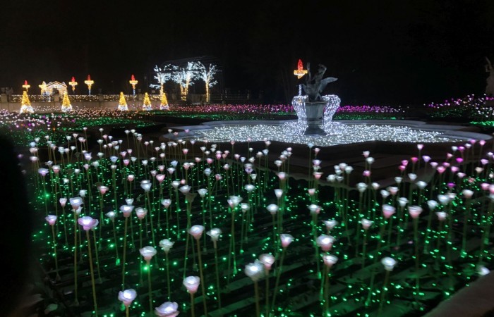 W dniach 9-11 grudnia 2021 uczniowie klas 7b i 7c uczestniczyli w wycieczce do stolicy Polski w ramach projektu Ministerstwa Edukacji i Nauki 