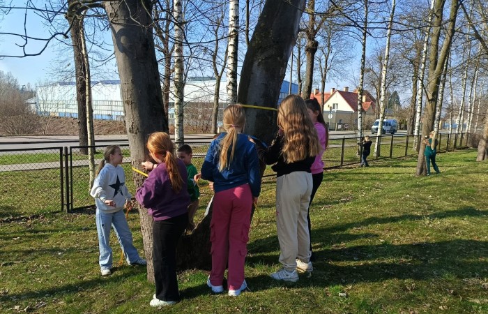 W mijającym roku szkolnym uczniowie klasy IIIb uczestniczyli w wyjątkowych zajęciach matematycznych realizowanych w ramach projektu S.Z.U.M. Zajęcia odbywały się raz w tygodniu i opierały się na zasadzie „nauki poprzez zabawę”. Uczniowie korzystali z gier dydaktycznych, przeprowadzali eksperymenty i doświadczenia, a także brali udział w zadaniach indywidualnych i zespołowych. Efekt? Utrwalona i poszerzona wiedza matematyczna, a do tego rozwinięta kreatywność, wytrwałość i samodzielność. Gratulacje dla młodych matematyków z 3b – świetna robota.