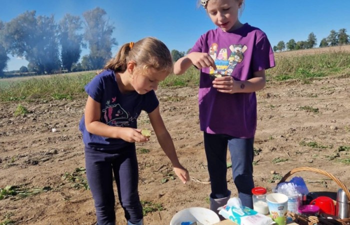 Uczniowie klasy 2A spędzili wyjątkowy dzień, podczas którego królował… ziemniak!  
Na początku poznaliśmy historię tej rośliny oraz dowiedzieliśmy się, jak wygląda jej budowa i w jaki sposób trafia z pola na nasze stoły. Nie zabrakło także wspólnej zabawy i zbierania ziemniaków, co sprawiło dzieciom ogromną frajdę.
Na zakończenie każdy mógł spróbować pysznych potraw przygotowanych z ziemniaków – były frytki, chipsy i chrupiące placki ziemniaczane. Dzięki temu wydarzeniu uczniowie nie tylko świetnie się bawili, ale też zdobyli nową wiedzę o roślinach okopowych. Serdecznie dziękujemy mamom: Paulinie Rokita, Asi Jabłońskiej i Sandrze Grzmocińskiej za doskonałe przygotowanie zajęć, pyszne smakołyki oraz poświęcony czas. Dzięki Wam ten dzień stał się naprawdę wyjątkowy! 
