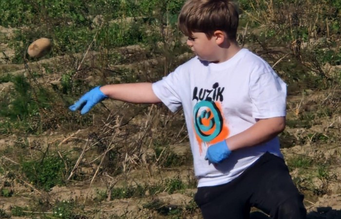 Uczniowie klasy 2A spędzili wyjątkowy dzień, podczas którego królował… ziemniak!  
Na początku poznaliśmy historię tej rośliny oraz dowiedzieliśmy się, jak wygląda jej budowa i w jaki sposób trafia z pola na nasze stoły. Nie zabrakło także wspólnej zabawy i zbierania ziemniaków, co sprawiło dzieciom ogromną frajdę.
Na zakończenie każdy mógł spróbować pysznych potraw przygotowanych z ziemniaków – były frytki, chipsy i chrupiące placki ziemniaczane. Dzięki temu wydarzeniu uczniowie nie tylko świetnie się bawili, ale też zdobyli nową wiedzę o roślinach okopowych. Serdecznie dziękujemy mamom: Paulinie Rokita, Asi Jabłońskiej i Sandrze Grzmocińskiej za doskonałe przygotowanie zajęć, pyszne smakołyki oraz poświęcony czas. Dzięki Wam ten dzień stał się naprawdę wyjątkowy! 
