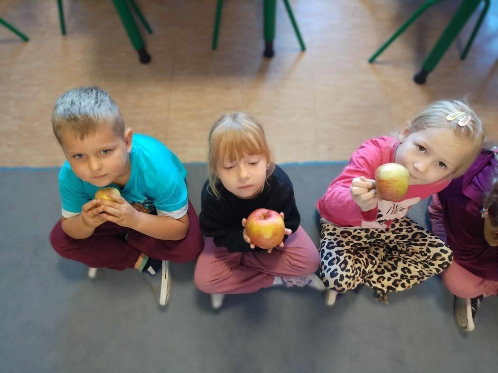 26 września obchodziliśmy w naszym przedszkolu Światowy Dzień Jabłka. Celem wydarzenia było zachęcenie dzieci do spożywania owoców,głównie jabłek pod różnymi postaciami. Podczas wspólnych zabaw dzieci poznały różne gatunki jabłek, ich kształt, zapach,kolor i smak. Poznały też budowę jabłka, etapy rozwoju jabłoni oraz dowiedziały się,jak wygląda praca w sadzie.
Przedszkolaki bardzo chętnie uczestniczyły w zabawach muzyczno-ruchowych oraz wykonały piękne,kolorowe prace plastyczne,związane z tematyką jabłek.
Dzień Jabłka stał się doskonałą okazją do wspólnej zabawy oraz promowania zdrowego stylu życia od najmłodszych lat.
