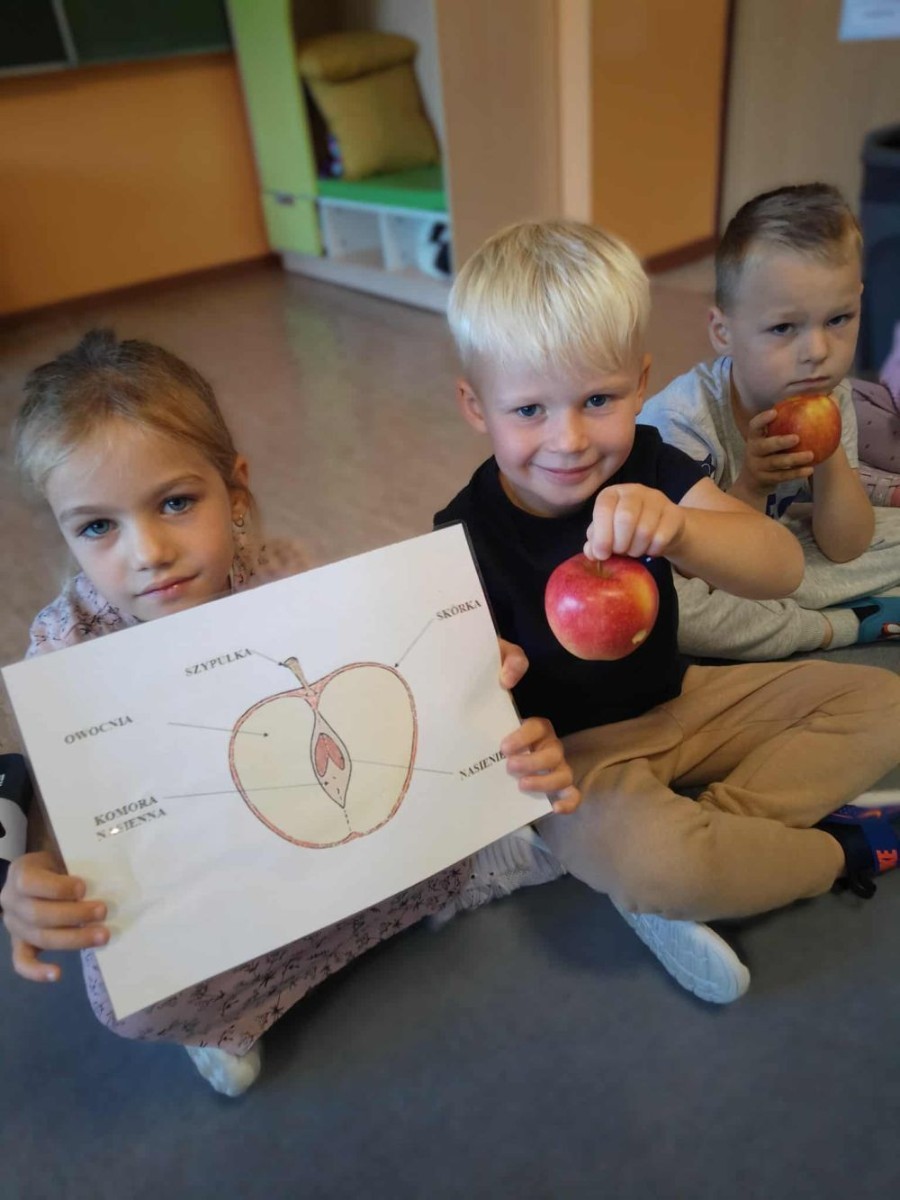 26 września obchodziliśmy w naszym przedszkolu Światowy Dzień Jabłka. Celem wydarzenia było zachęcenie dzieci do spożywania owoców,głównie jabłek pod różnymi postaciami. Podczas wspólnych zabaw dzieci poznały różne gatunki jabłek, ich kształt, zapach,kolor i smak. Poznały też budowę jabłka, etapy rozwoju jabłoni oraz dowiedziały się,jak wygląda praca w sadzie.
Przedszkolaki bardzo chętnie uczestniczyły w zabawach muzyczno-ruchowych oraz wykonały piękne,kolorowe prace plastyczne,związane z tematyką jabłek.
Dzień Jabłka stał się doskonałą okazją do wspólnej zabawy oraz promowania zdrowego stylu życia od najmłodszych lat.
