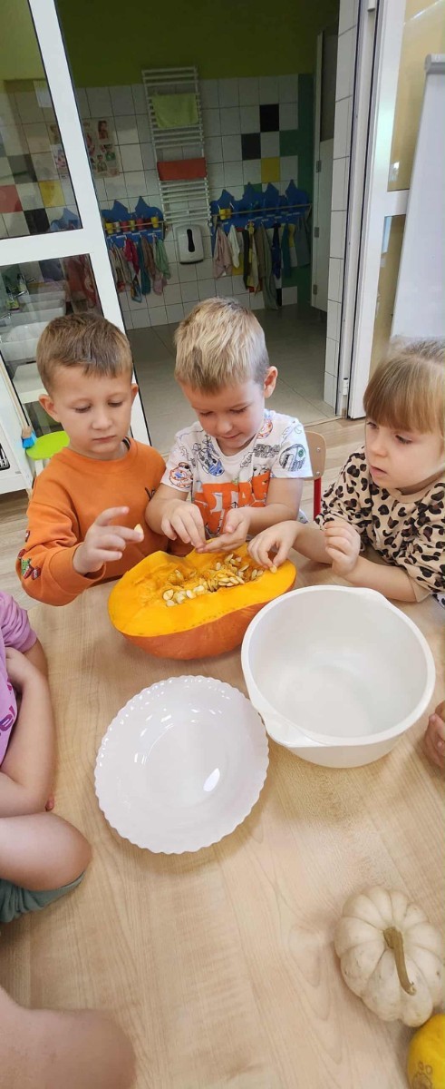 31 października nasze przedszkole zamieniło się w prawdziwą dyniową krainę! W salach królował kolor pomarańczowy, a wszędzie można było zobaczyć uśmiechnięte buzie dzieci i  dynie w różnych kształtach i rozmiarach.Przedszkolaki chętnie brały udział w zabawach muzyczno-ruchowych oraz zajęciach plastycznych z dynią w roli głównej.
Dzieci dowiedziały się, że dynia to nie tylko piękna ozdoba jesieni, ale również zdrowe i smaczne warzywo, z którego można przygotować wiele pysznych potraw.Na zakończenie dnia dzieci otrzymały dyniowe medale oraz pamiątkowe dyplomy,świadczące o ich udziale i zaangażowaniu w obchody tego święta.
To był dzień pełen radości, kolorów ,niezapomnianych wrażeń i jesiennej magii.
