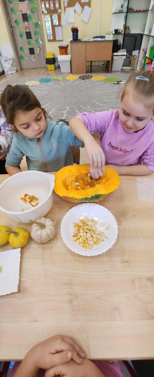31 października nasze przedszkole zamieniło się w prawdziwą dyniową krainę! W salach królował kolor pomarańczowy, a wszędzie można było zobaczyć uśmiechnięte buzie dzieci i  dynie w różnych kształtach i rozmiarach.Przedszkolaki chętnie brały udział w zabawach muzyczno-ruchowych oraz zajęciach plastycznych z dynią w roli głównej.
Dzieci dowiedziały się, że dynia to nie tylko piękna ozdoba jesieni, ale również zdrowe i smaczne warzywo, z którego można przygotować wiele pysznych potraw.Na zakończenie dnia dzieci otrzymały dyniowe medale oraz pamiątkowe dyplomy,świadczące o ich udziale i zaangażowaniu w obchody tego święta.
To był dzień pełen radości, kolorów ,niezapomnianych wrażeń i jesiennej magii.
