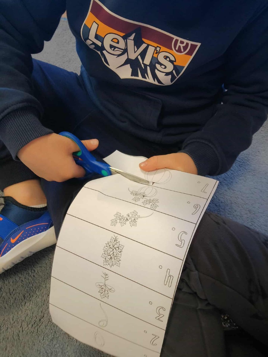 31 października nasze przedszkole zamieniło się w prawdziwą dyniową krainę! W salach królował kolor pomarańczowy, a wszędzie można było zobaczyć uśmiechnięte buzie dzieci i  dynie w różnych kształtach i rozmiarach.Przedszkolaki chętnie brały udział w zabawach muzyczno-ruchowych oraz zajęciach plastycznych z dynią w roli głównej.
Dzieci dowiedziały się, że dynia to nie tylko piękna ozdoba jesieni, ale również zdrowe i smaczne warzywo, z którego można przygotować wiele pysznych potraw.Na zakończenie dnia dzieci otrzymały dyniowe medale oraz pamiątkowe dyplomy,świadczące o ich udziale i zaangażowaniu w obchody tego święta.
To był dzień pełen radości, kolorów ,niezapomnianych wrażeń i jesiennej magii.
