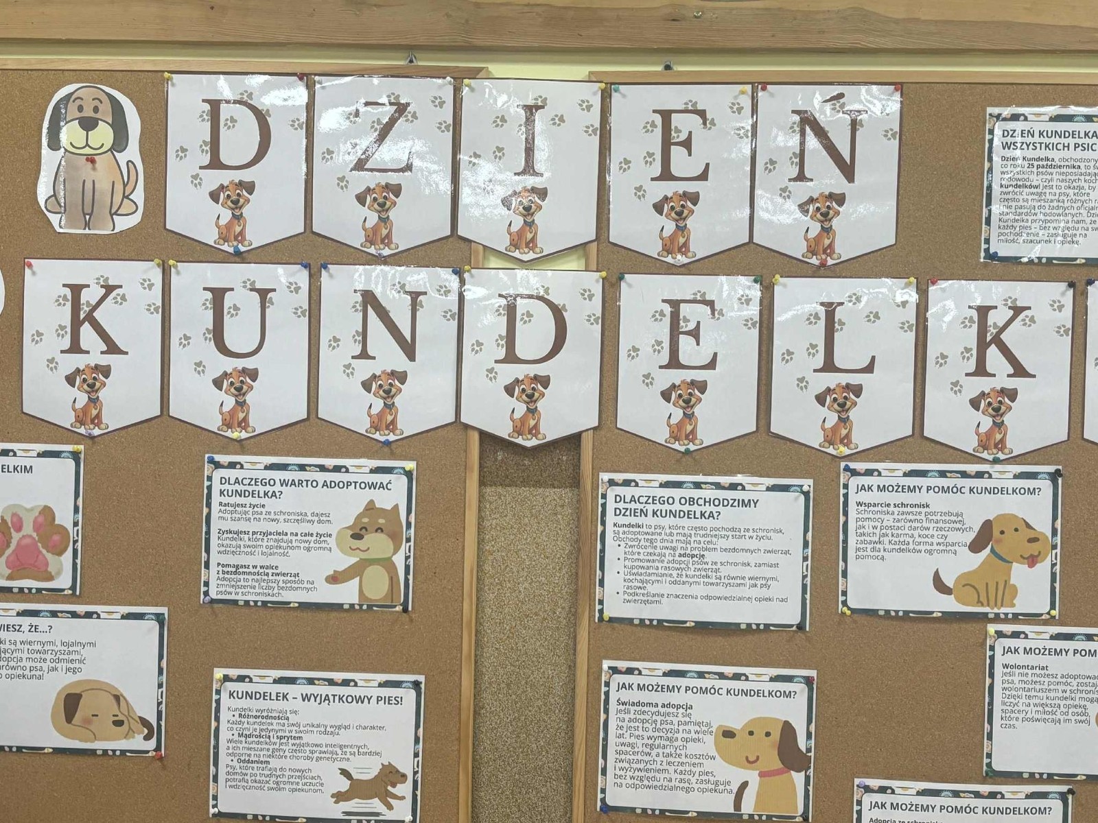 Z okazji Dnia Kundelka w naszej placówce odbyła się zbiórka karmy dla potrzebujących czworonogów. Dzięki ogromnemu zaangażowaniu dzieci i wsparciu rodziców udało się zebrać imponującą ilość darów, które trafiły do pobliskiego schroniska.

Z tej okazji dzieci z wielkim entuzjazmem przygotowały również piękne prace plastyczne inspirowane psimi przyjaciółmi. Ich wystawa ozdobiła sale i korytarze, wprowadzając wszystkich w radosny, psi klimat.

Serdecznie dziękujemy wszystkim darczyńcom za otwarte serca, życzliwość i wspólne świętowanie tego wyjątkowego dnia.