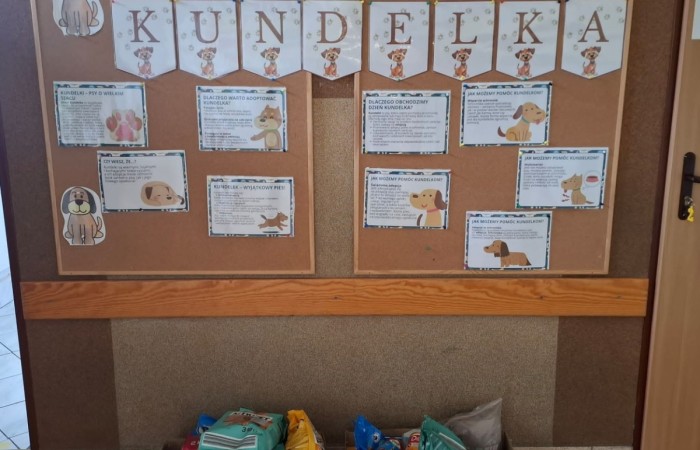Z okazji Dnia Kundelka w naszej placówce odbyła się zbiórka karmy dla potrzebujących czworonogów. Dzięki ogromnemu zaangażowaniu dzieci i wsparciu rodziców udało się zebrać imponującą ilość darów, które trafiły do pobliskiego schroniska.

Z tej okazji dzieci z wielkim entuzjazmem przygotowały również piękne prace plastyczne inspirowane psimi przyjaciółmi. Ich wystawa ozdobiła sale i korytarze, wprowadzając wszystkich w radosny, psi klimat.

Serdecznie dziękujemy wszystkim darczyńcom za otwarte serca, życzliwość i wspólne świętowanie tego wyjątkowego dnia.