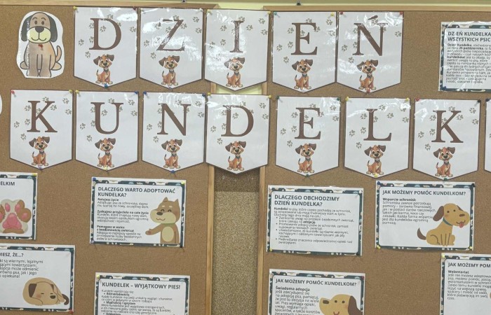 Z okazji Dnia Kundelka w naszej placówce odbyła się zbiórka karmy dla potrzebujących czworonogów. Dzięki ogromnemu zaangażowaniu dzieci i wsparciu rodziców udało się zebrać imponującą ilość darów, które trafiły do pobliskiego schroniska.

Z tej okazji dzieci z wielkim entuzjazmem przygotowały również piękne prace plastyczne inspirowane psimi przyjaciółmi. Ich wystawa ozdobiła sale i korytarze, wprowadzając wszystkich w radosny, psi klimat.

Serdecznie dziękujemy wszystkim darczyńcom za otwarte serca, życzliwość i wspólne świętowanie tego wyjątkowego dnia.