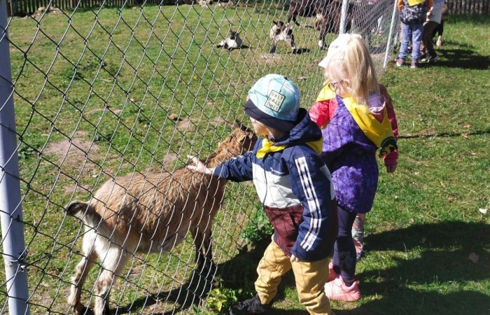 Nasze przedszkolaki po dłuższej przerwie w dobie pandemii wybrały się na wycieczkę do Sąp.
Wyjazd bardzo zbliżył nas do czasów kiedy to ludzie żyli w klimacie na łonie natury.                           Poznaliśmy obyczaje, życie oraz prace ludzi na wsi. W wiejskiej zagrodzie przebywały zwierzęta które mogliśmy zobaczyć oraz nakarmić. Dzieci bardzo uważnie zainteresowały się zwierzakami.
Wycieczka bardzo nam się podobała i przybliżyła tematom związanym z życiem na wsi.
Na pewno tam wrócimy… :)
